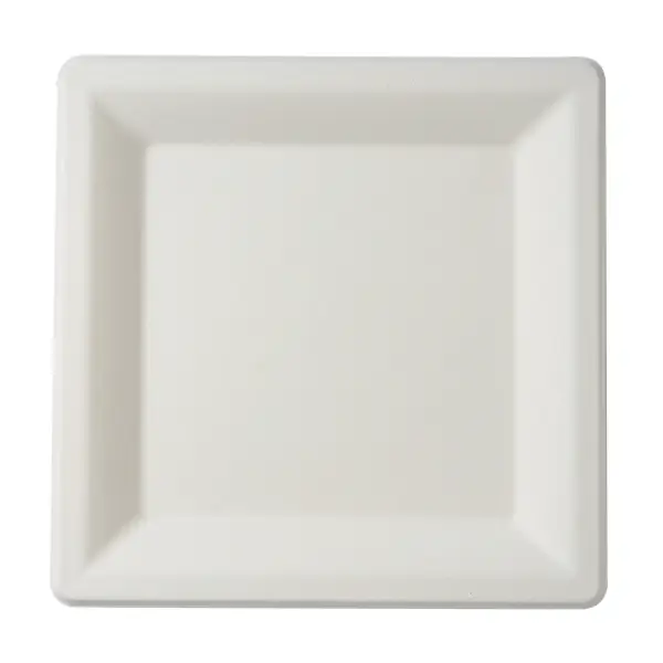 10" Molded Fiber Square Plate - 500/cs (PL-SQ-10)